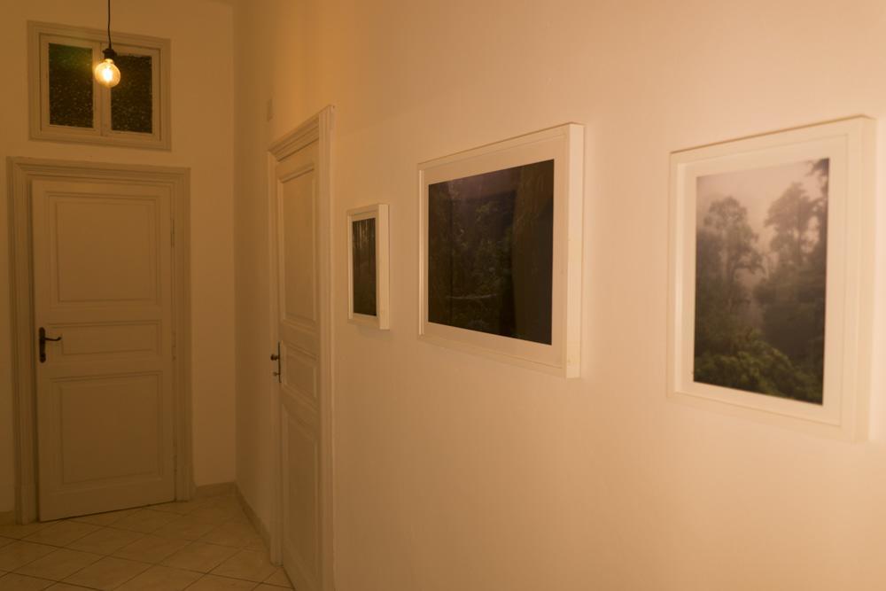 Trastevere Corner Eight Rzym Zewnętrze zdjęcie