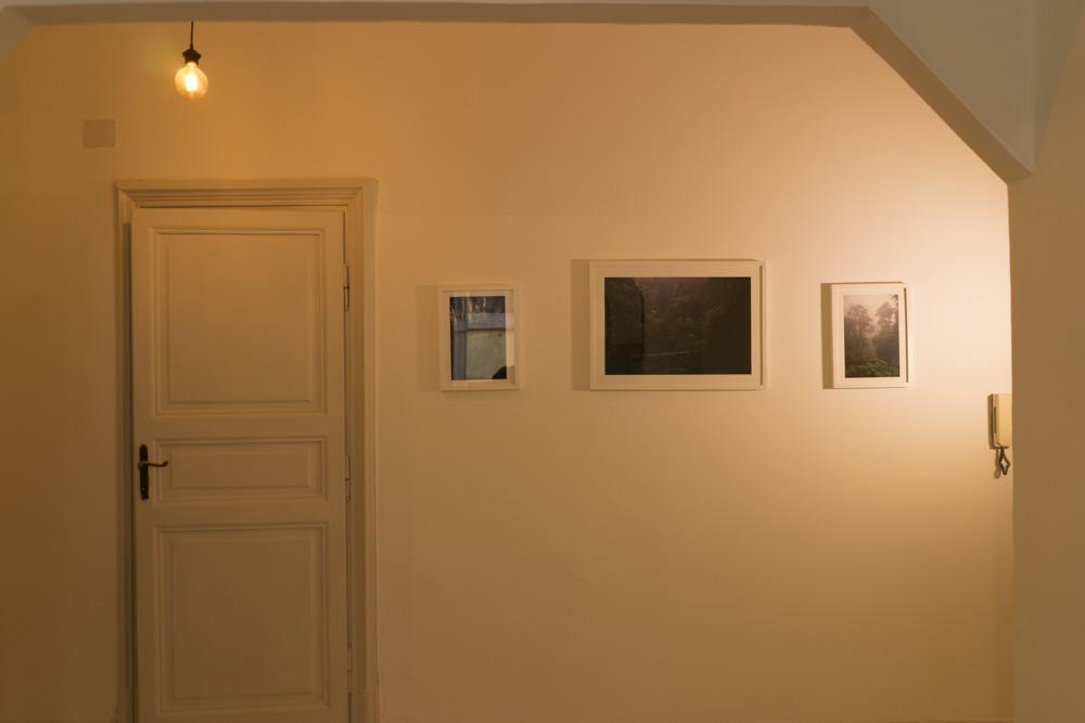Trastevere Corner Eight Rzym Zewnętrze zdjęcie